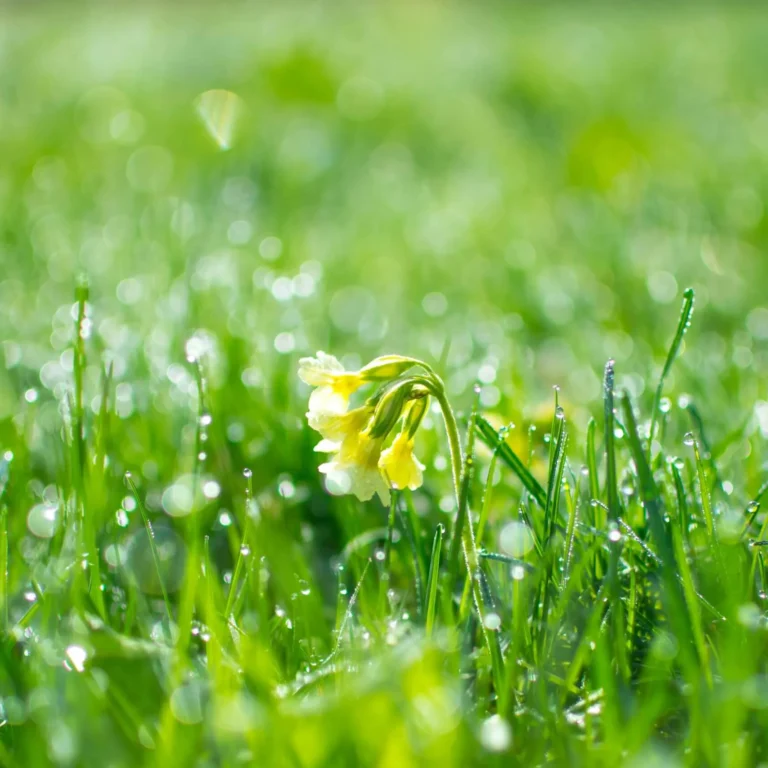 pexels-photomix-company-94847-scaled-jpg